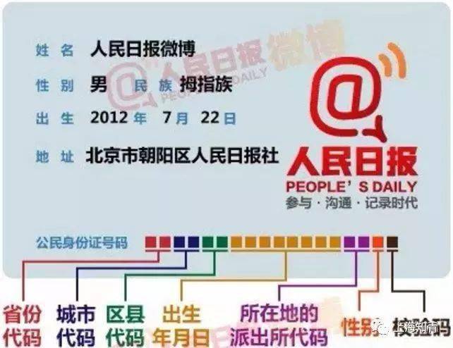 代码编织数字的网